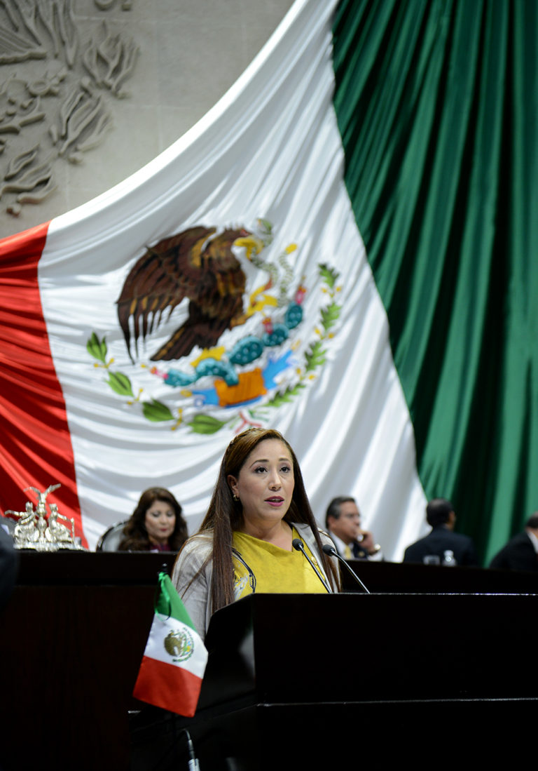 Promueve Diputada Ingrid Schemelensky el desarrollo metropolitano