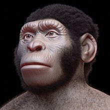 HOMO NALEDI