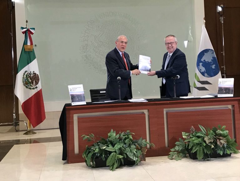 Estudio Económico de México 2019 de la OCDE