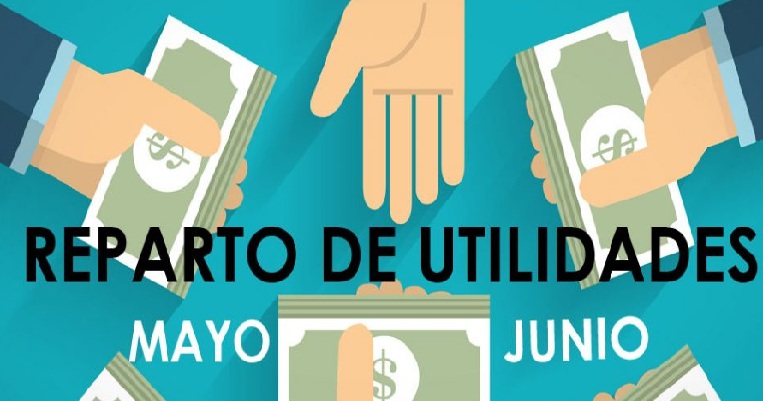 Elementos clave para comprender el pago de utilidades en la empresa