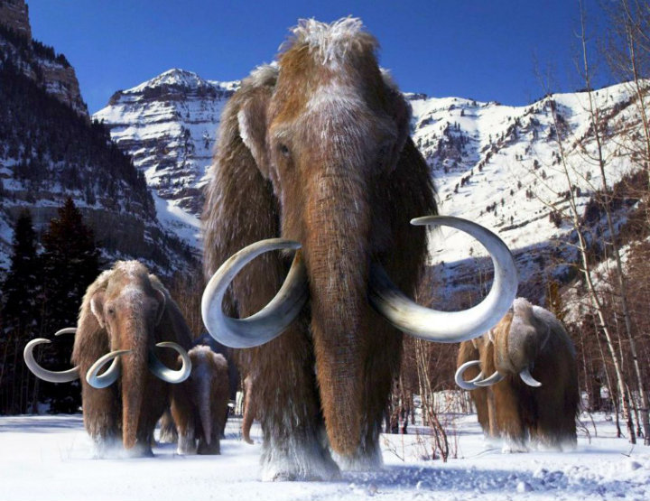 Buscan recrear ecosistema de mamuts para mitigar el cambio climático
