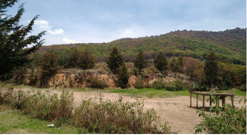 Salvemos el Área Natural Protegida (ANP) Espíritu Santo (Cerro del Moño)