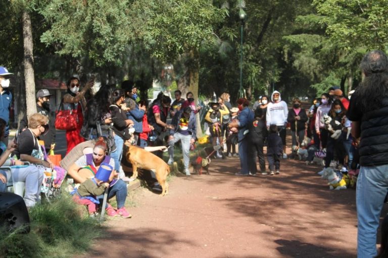 Se llevó a cabo concurso de perros promovido por la Dip. Ingrid Schemelensky.