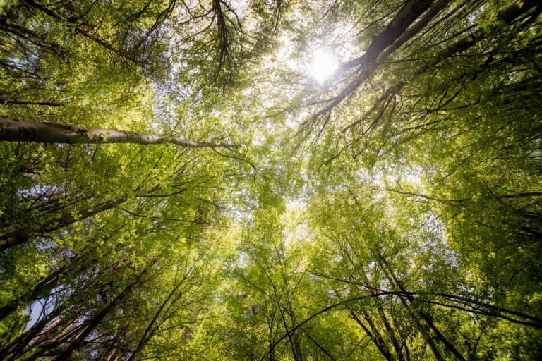 Desafíos de conservación del planeta son responsabilidad de todos
