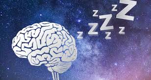 Los procesos cerebrales durante el sueño
