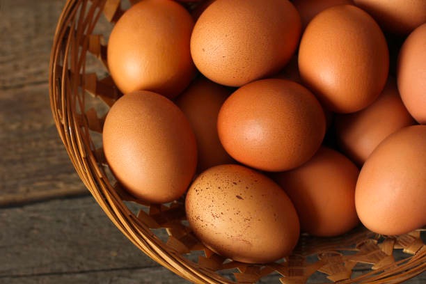 México domina la producción y el consumo de huevo a nivel Latinoamérica