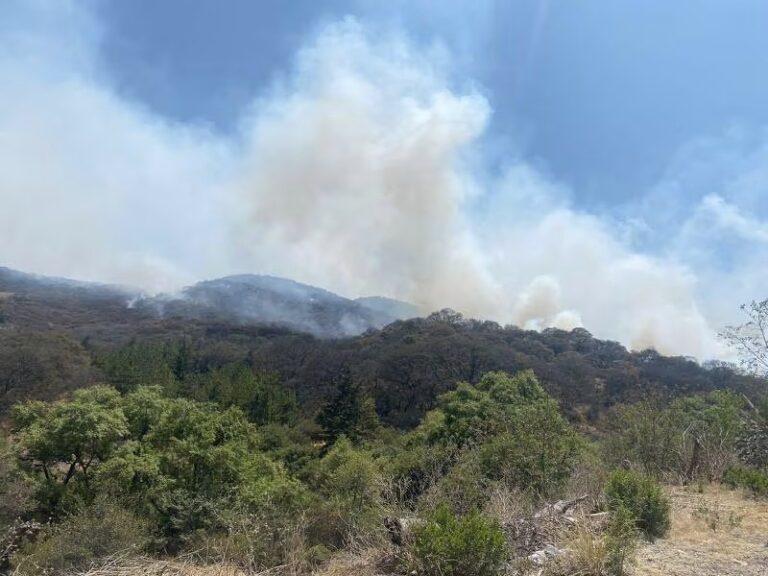 Gobierno de Atizapán señala que no habrá desarrollos residenciales donde hubieron incendios