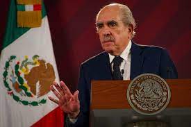 Gobierno federal confirma operación de la Comisión para la Reforma Electoral sin recursos extra Funcionará con personal existente y apoyo logístico de estados y municipios